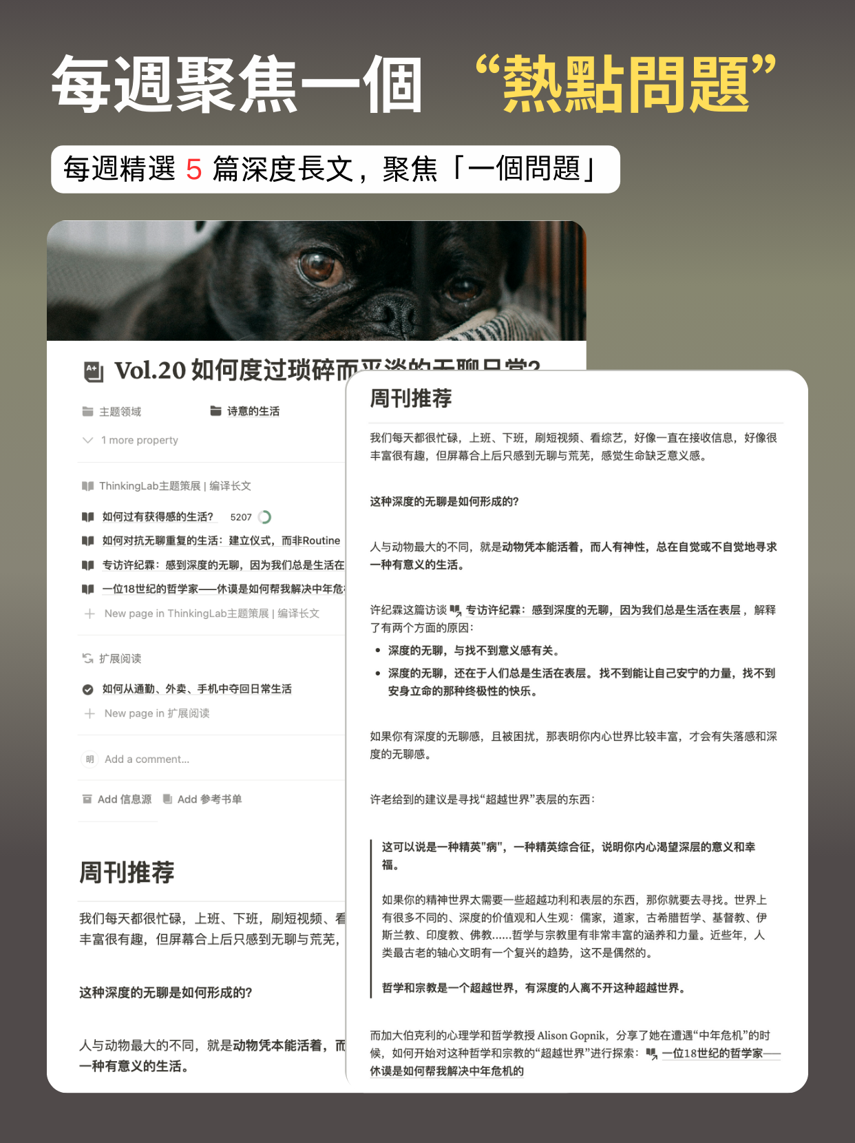 ThinkingLab 的阅读会员 - 订阅(简体)